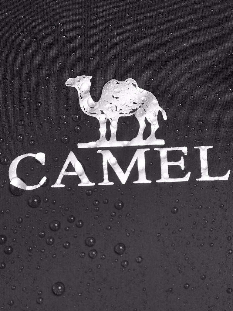 Пуховик мужской Camel — фото №5