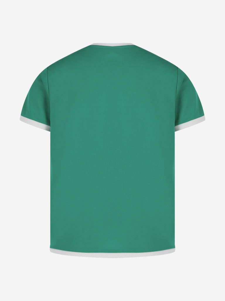 Футболка для мальчиков PUMA Teamliga Jersey Jr — фото №8