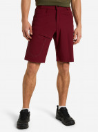 Шорты мужские Salomon Wayfarer