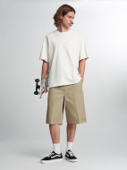 Шорты мужские DICKIES 13 In Mlt Pkt W/St — фото №3