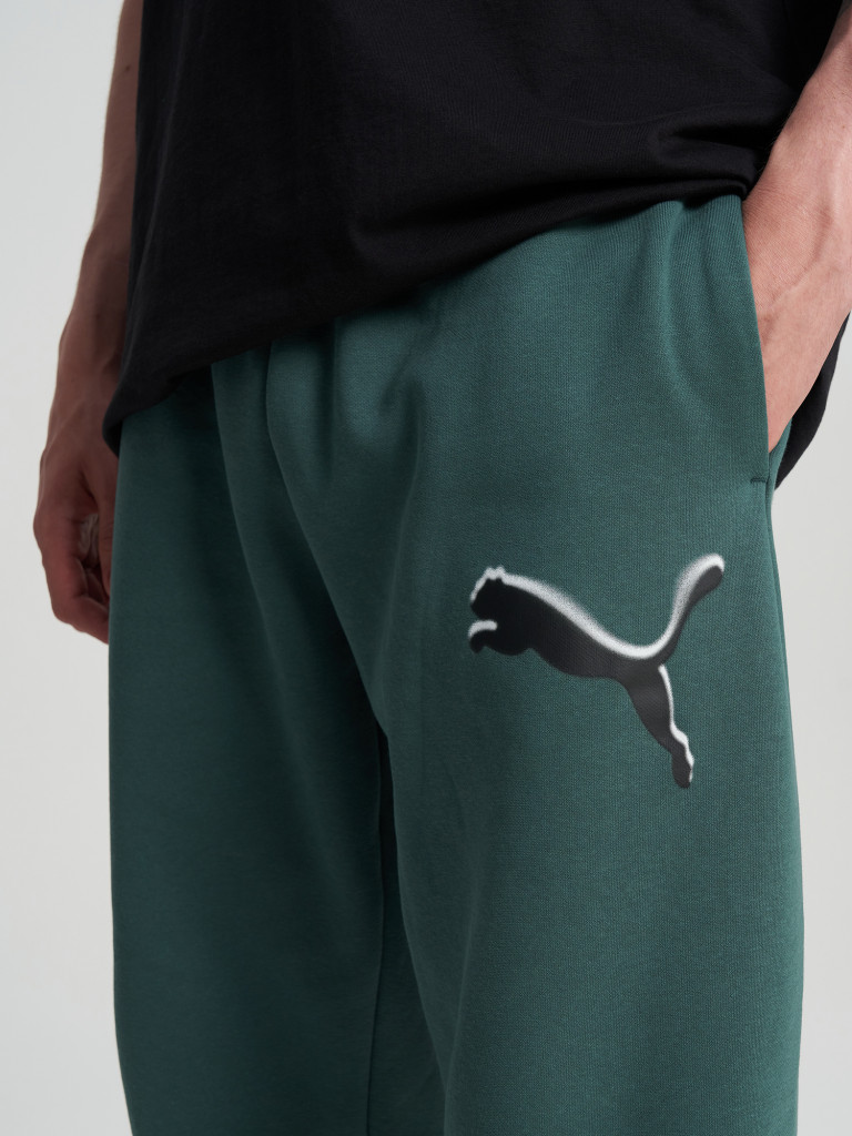 Брюки мужские PUMA Sport Street — фото №6