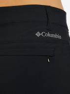 Брюки мужские Columbia Outdoor Elements Stretch Pant — фото №4