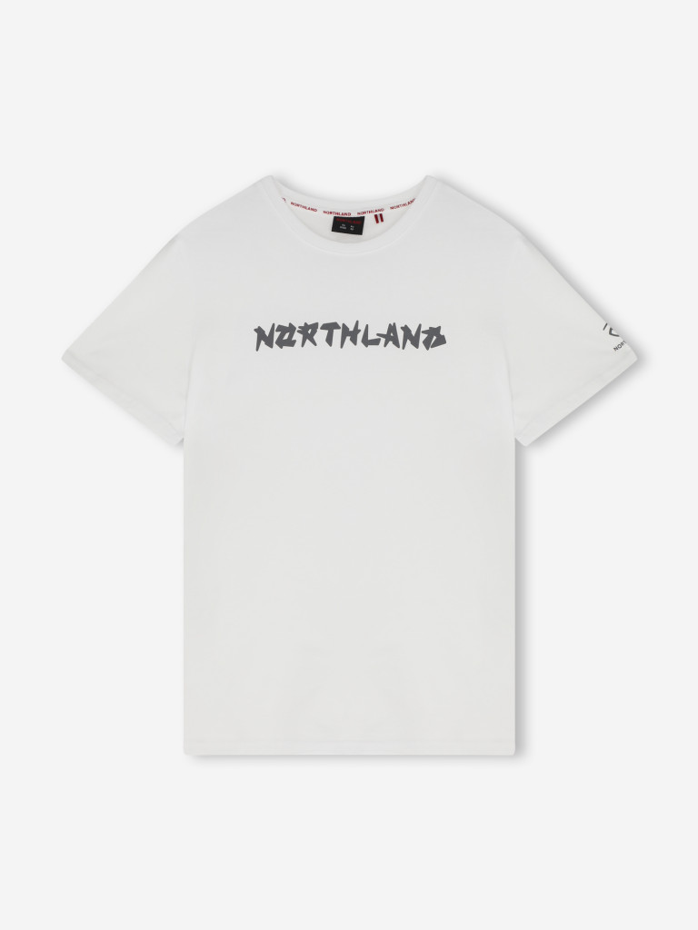 Футболка мужская Northland
