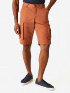 Шорты мужские Regatta Shorebay