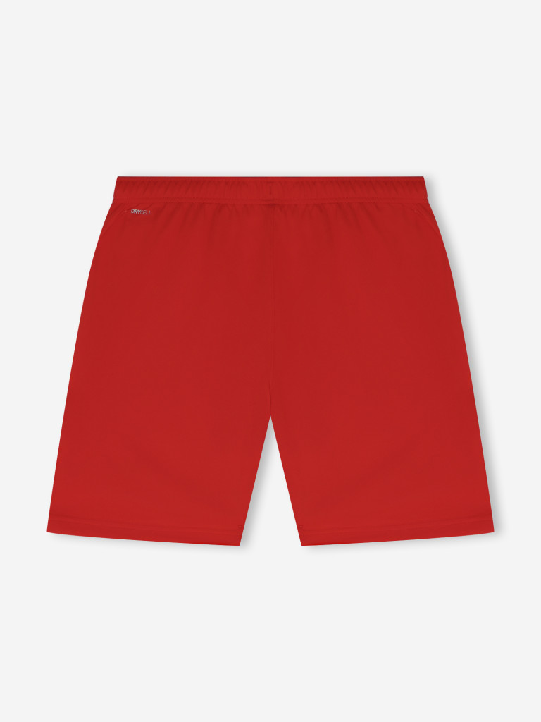 Шорты мужские PUMA Teamrise — фото №9