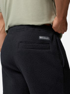 Брюки мужские Columbia Timber Crest Mtr Fleece Pant — фото №6