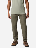Брюки мужские Columbia Pitchstone Chino Pant — фото №2