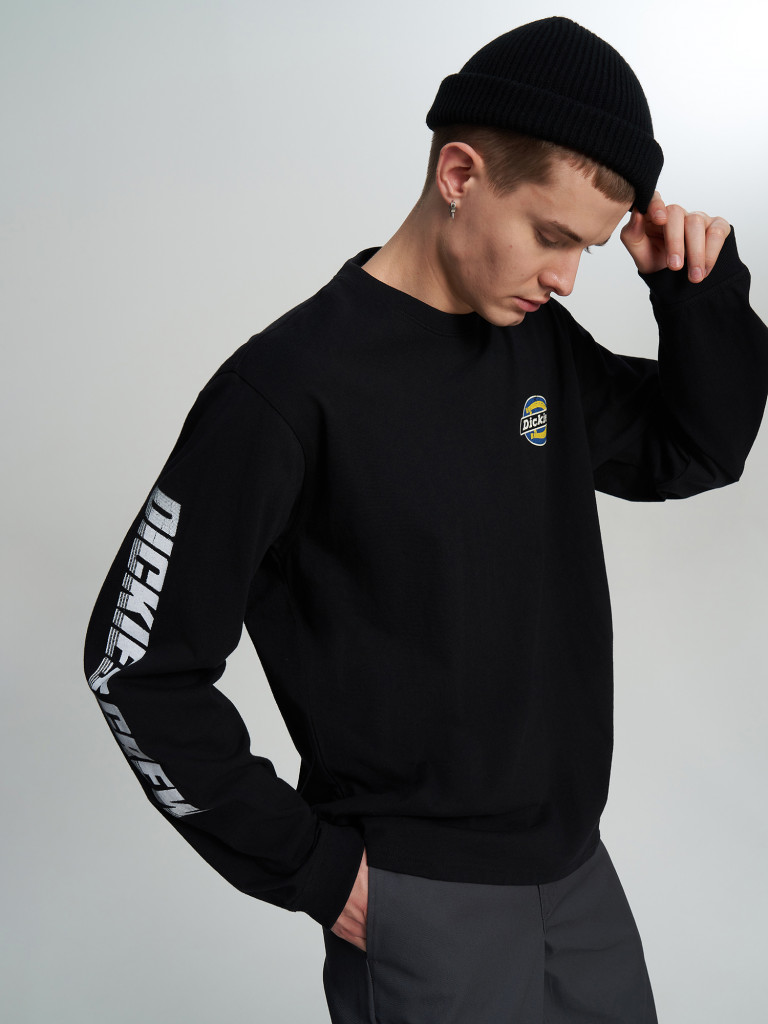 Лонгслив мужской DICKIES Nashport — фото №2
