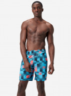 Шорты плавательные мужские Speedo Sport