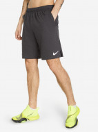 Шорты мужские Nike Dri-FIT