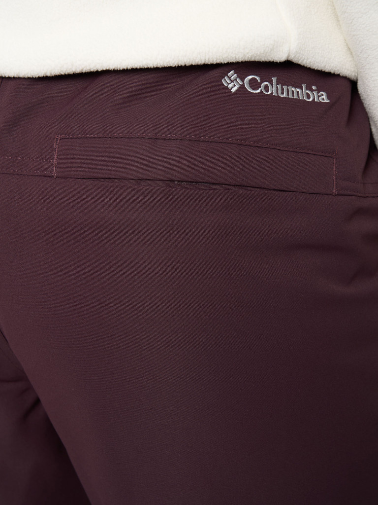 Брюки горнолыжные женские Columbia Bugaboo III Pant — фото №6