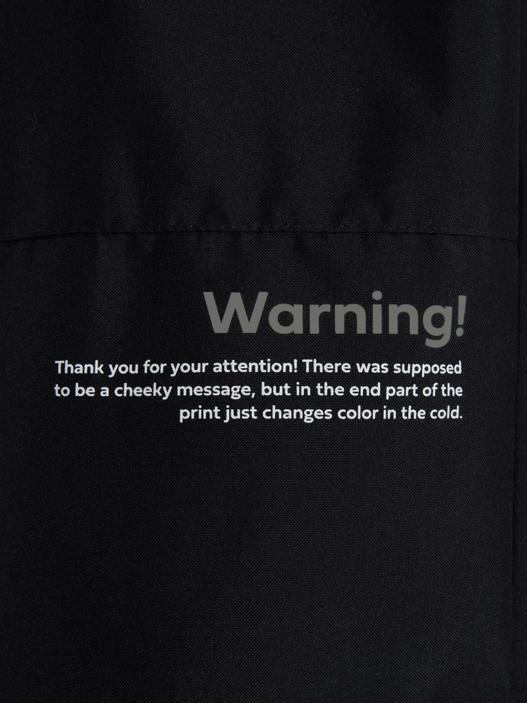 Брюки утепленные мужские Termit — фото №18