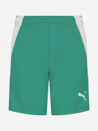 PUMA Teamliga Jr ұлдар шорты — фото №6