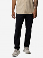 Брюки мужские Columbia Tech Trail Utility Pant — фото №2