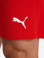 Шорты мужские PUMA Teamrise — фото №6