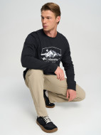 Лонгслив мужской Columbia CSC Graphic LS Tee — фото №4