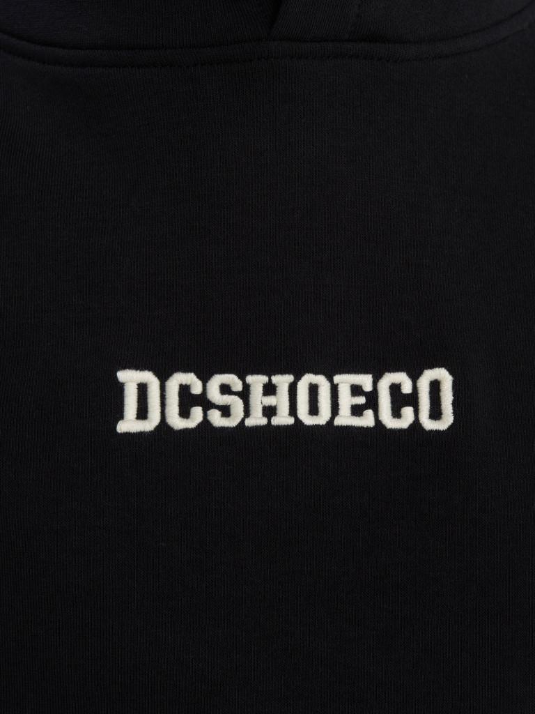 Худи мужское DC Shoes Baseline — фото №8