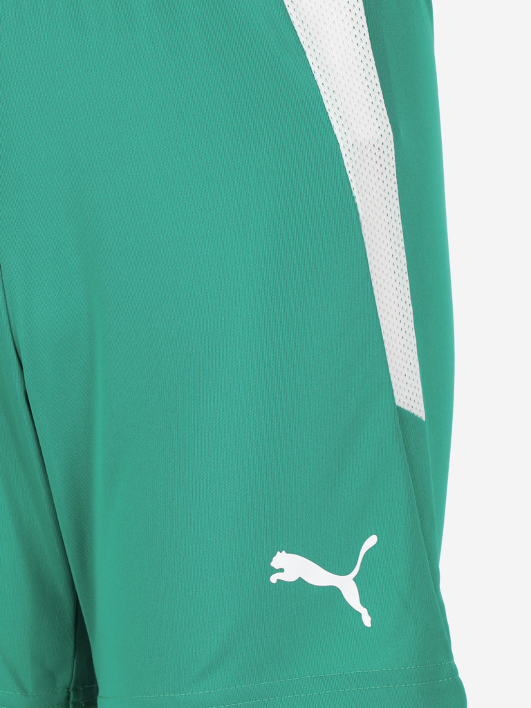 PUMA Teamliga Jr ұлдар шорты — фото №8