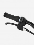 Велосипед для девочек Denton Shine 1.0 20" — фото №9