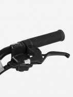 Stern Action Alt 24" ұлдар велосипеді — фото №5