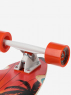 Termit Pintail лонгборды — фото №4