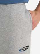 Брюки флисовые мужские Reebok Ri Brand Proud — фото №5