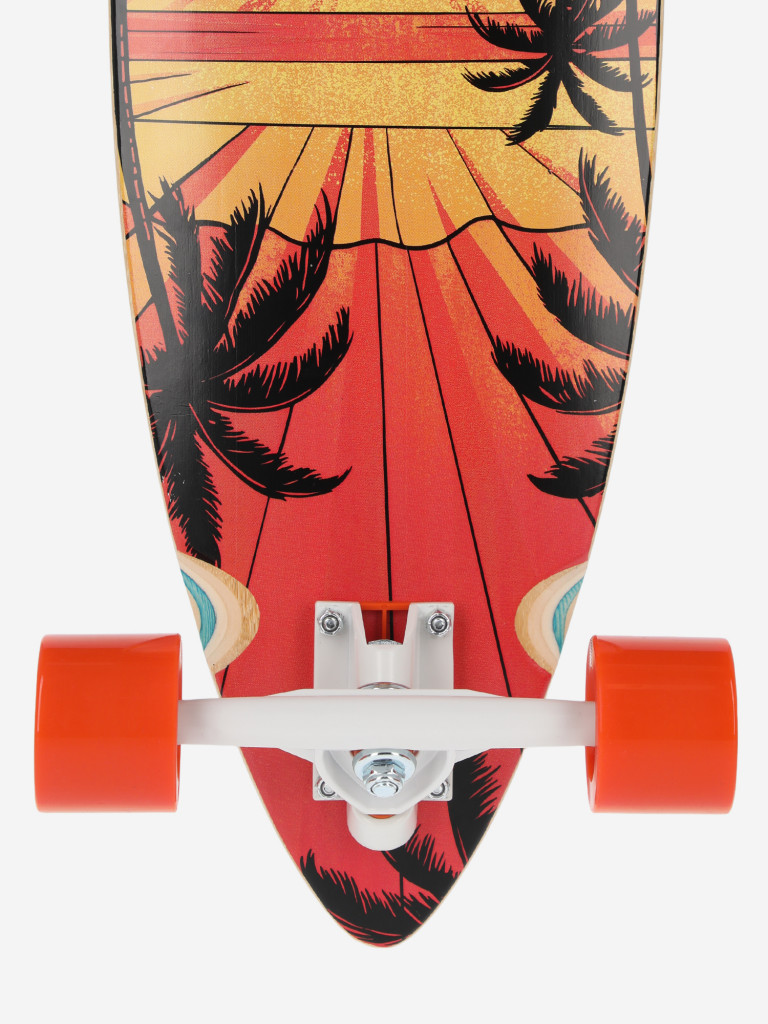 Termit Pintail лонгборды — фото №5