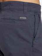 Брюки мужские Columbia Flex ROC Pant — фото №6