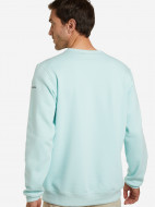Свитшот мужской Columbia M Columbia Logo Fleece Crew — фото №2
