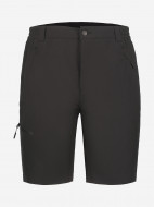 Шорты мужские IcePeak Berwyn