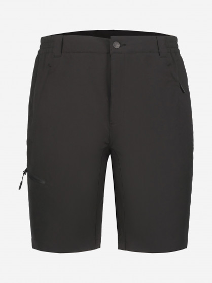 Шорты мужские IcePeak Berwyn