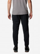 Брюки мужские Columbia Sage Peak Tapered Chino Pant — фото №2